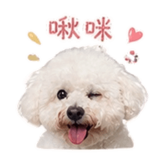 呆萌優格