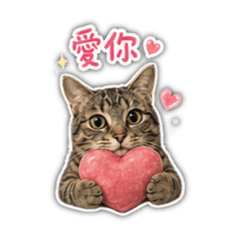 奶吉葫蘆娃