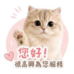 喵星人客服已上線