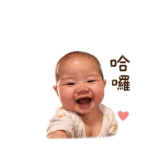 可愛的小柿子