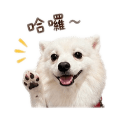 湯圓陪你開心每一天