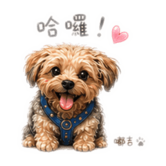 嘟吉日常問候版