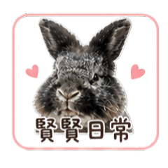 可愛的邊小賢