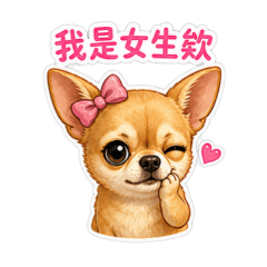 母吉娃娃的日常