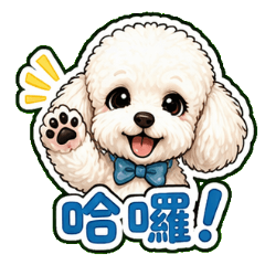 奶萌系｜毛茸茸貴賓犬