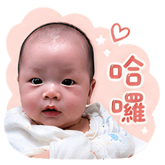 liaoyoyo