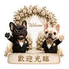計程車和運鈔車 x IVAN Weddings
