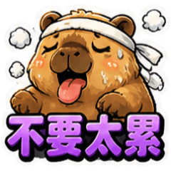 水豚☆家族和情侶實用語☆古哥哥352
