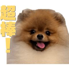陳酷哩的可愛世界2