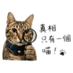 有隻喵仔叫徐斑