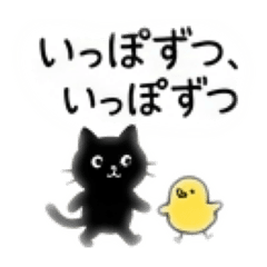 Surreal Black Cat & Yellow Chick