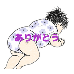 shiromame_20260505083553
