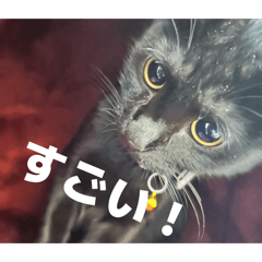 RUPIPI_20260505083413