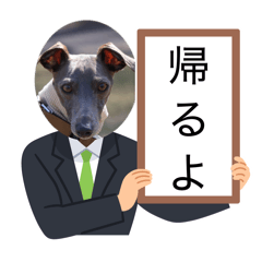 imoimo_20260505085427
