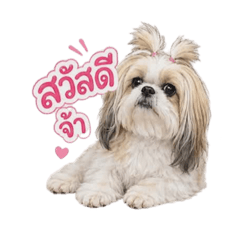 ojhgggggg_20260506130556