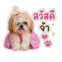 ojhgggggg_20260506124746