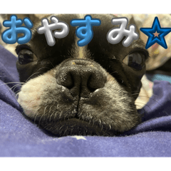 Mame_20260505165850
