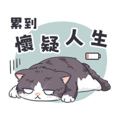 半甲阿胖(2)
