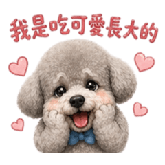 ♡樂樂♡日常用語1