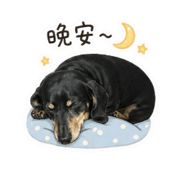 臘腸妹妹貼圖