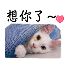 幼a