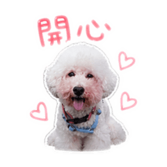 阿狗達達 1