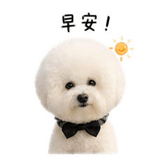 萌Q比