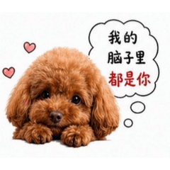 啊奇奇ㄖ常