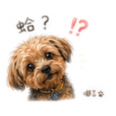 嘟吉白爛創意版