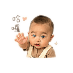 暘暘q寶