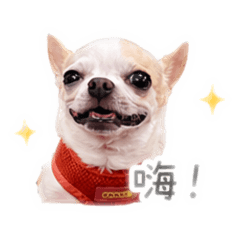 劉肉多