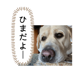 Ryomaru_20260505093331