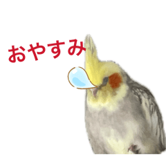 Inko_20260505093616