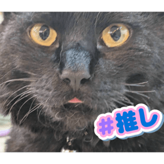 yukinyan_20260505093105