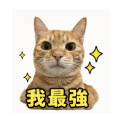大頭三星
