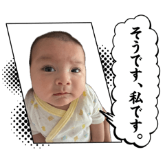 taro_20260505093609