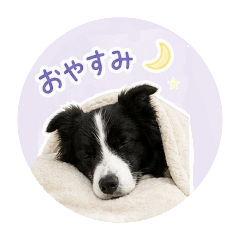 motchi_20260505094253