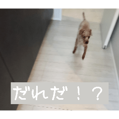 haruto_20260505094610