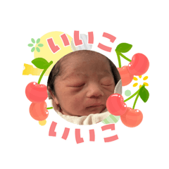 Mamipoko_20260505094753