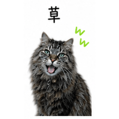 vivian_tomoyuki_20260505095759