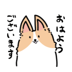 Momosu_20260505175445