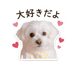 wanwan_20260505175602