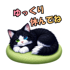 Fluffy Studio_20260505175158