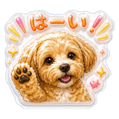 Ayamoko_20260505094742