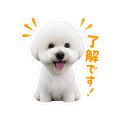 sakumim_20260505180354