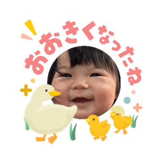 non_20260505185136