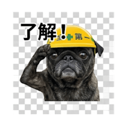 megumimi_20260505185334
