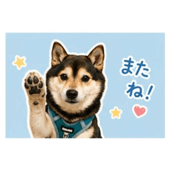 KUROSHIBASASUKE_20260505185301