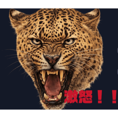 matsuge_20260505185535555