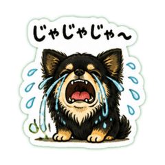kazumin_20260505185402